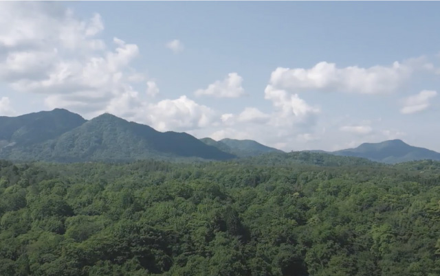 療養風呂