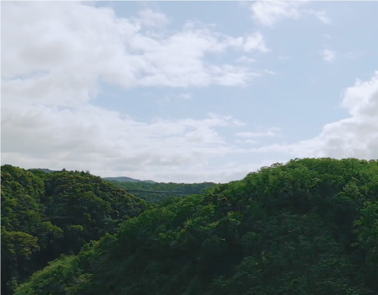 美又温泉